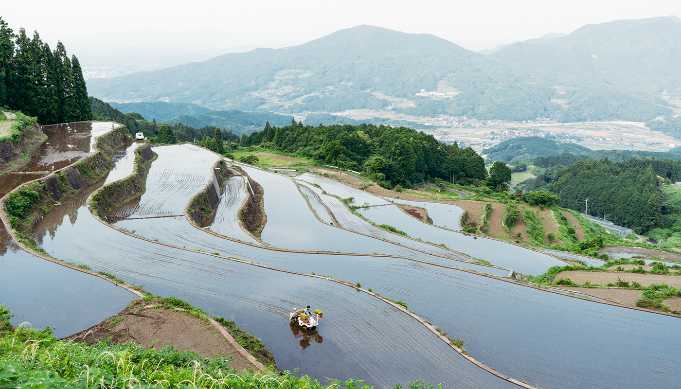 有田町に広がる岳の棚田